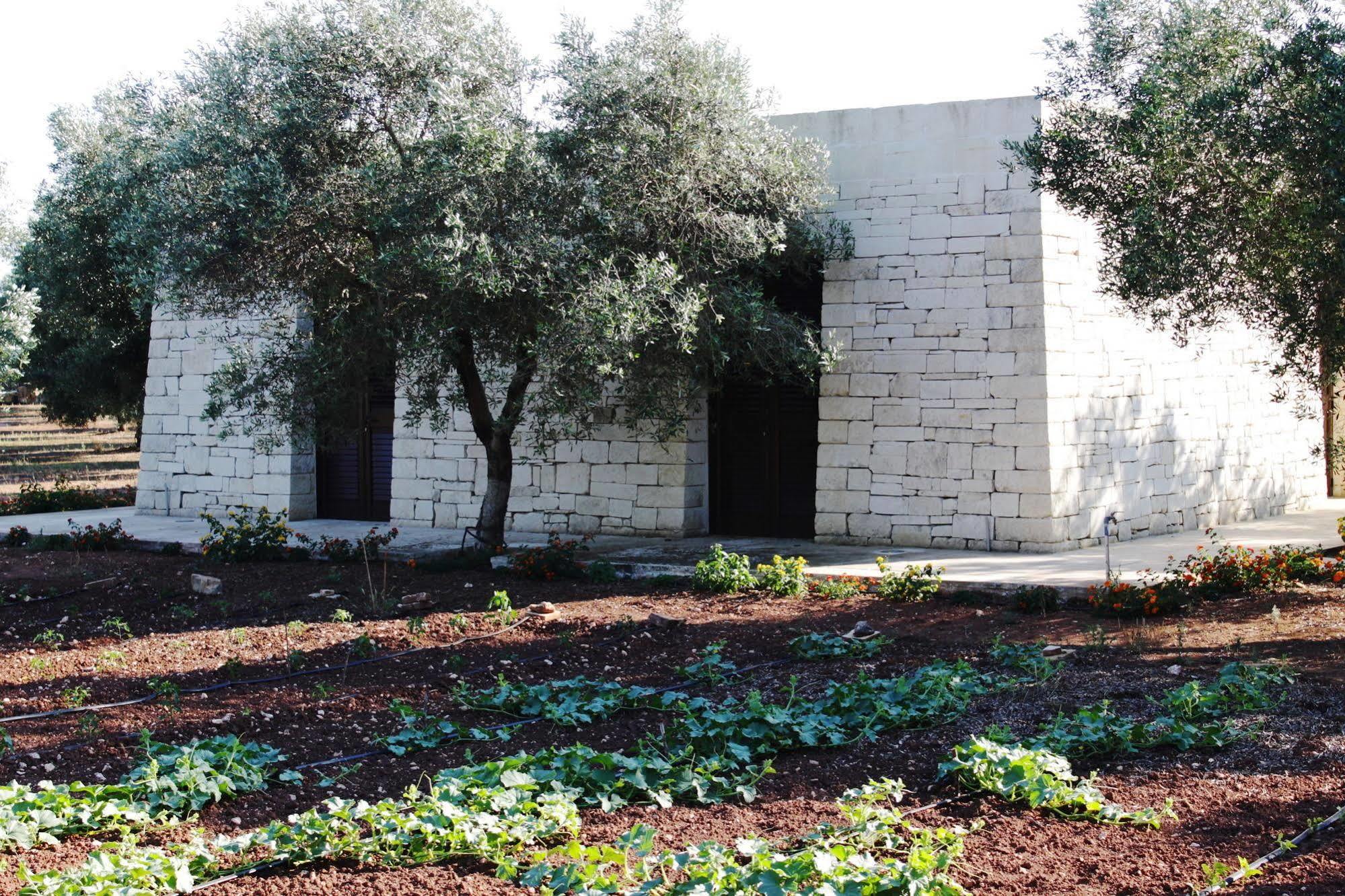 Tenuta Pigliano Hotel Bagnolo del Salento Exterior foto